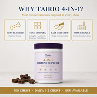 Astragalus Lactoferrine Colostrum Soutien Immunitaire Friandises à Mâcher pour Chiens Bien-être Quotidien Formule Naturelle Marque Privée