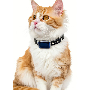 Localisateur de GPS pour animaux de compagnie, collier de suivi pour chat, étanche, suivi en temps réel, Bluetooth, pour utilisation en intérieur et en extérieur - Product Image 1