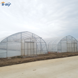 <span class=keywords><strong>Serre</strong></span> en film plastique pour l'agriculture maraîchère avec filet anti-insectes et système de ventilation - Product Image 1