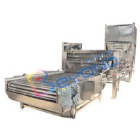 Hoge Kwaliteit Hoge Efficiëntie Wassen Roller Borstel Fruit Groente Machine