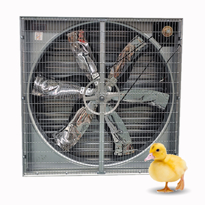 <span class=keywords><strong>พัดลม</strong></span><span class=keywords><strong>ดูด</strong></span><span class=keywords><strong>อากาศ</strong></span>อุตสาหกรรมแบบแกนหมุนไฟฟ้าคุณภาพสูง 380V AC ใบพัดสแตนเลส <span class=keywords><strong>ติด</strong></span>ผนัง/แขวน<span class=keywords><strong>เพดาน</strong></span> สำหรับโรงเรือนสัตว์ปีก - Product Image 1