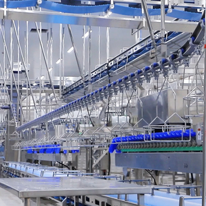 Raniche 2025 loại mới gà Mề Peeler hiệu quả gia cầm giết mổ thiết bị với độ bền - Product Image 4