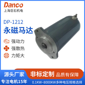 Motor de imán permanente con escobillas Dp 1212 Dc con montaje de brida para equipos mecánicos - Product Image 5