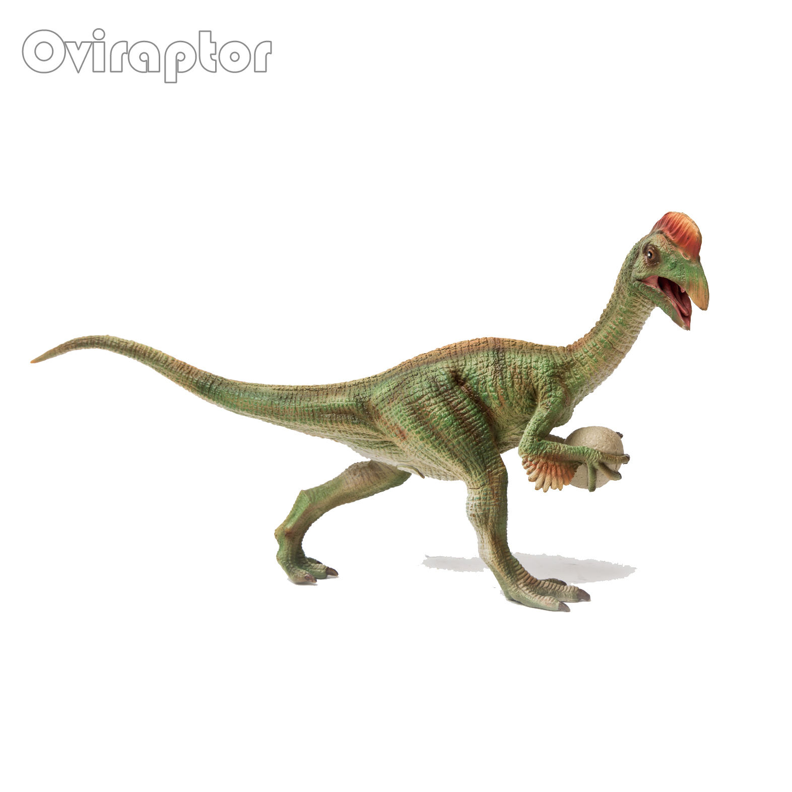 Oviraptor
