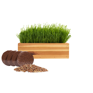 Kit de culture intérieure ornementale avec mélangeur d'herbe Bol pour chat Herbe pour plantes en <span class=keywords><strong>pot</strong></span> pour la maison Jardin ou <span class=keywords><strong>Pot</strong></span> de fleur en forme de chien - Product Image 1