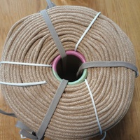 Cordon de mobilier 4mm 6mm Beige 100% Polyester Enduit PVC Occultant Antistatique Rideau Utilisation Extérieure Imperméable Résistant aux UV 10kg