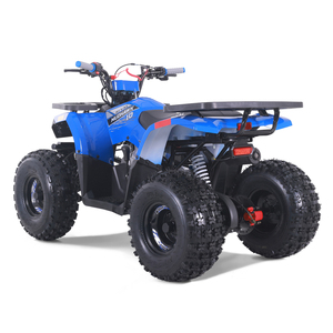 Quad Tao Motor 2026, nouveau, pas cher, pour la ferme, automatique, transmission par chaîne, pour enfants, 110cc - Product Image 2