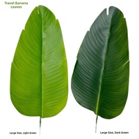 Feuilles artificielles d'oiseau de paradis suspendues à longue tige pour vase, en PE, haute qualité, haute simulation, pour décoration maison, mariage, fête