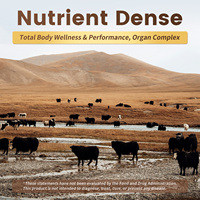 Complément GMP pour la Vitalité Masculine : Organes de Bœuf Nourri à l'Herbe 700mg (Cœur, Foie, Rein, Pancréas), Tribulus, CoQ10, Reishi, Zinc, D3