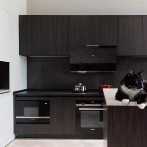 Muebles de cocina completos de diseño <span class=keywords><strong>simple</strong></span> para el hogar, muebles de cocina completos, armario decorativo de alto brillo - Product Image 4