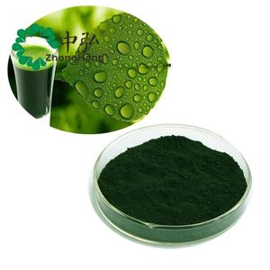 مسحوق الكلوروفيل المستخلص من أوراق التوت الصباغ الطبيعي ، كلوروفيلين الصوديوم والنحاس - Product Image 3