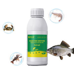 Ruột/thức ăn Probiotics cho tôm và cá với Top Grade Made - Product Image 1
