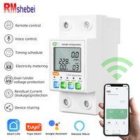 RMshebei TUYA meteran listrik prabayar, pemutus sirkuit cerdas Wifi 63A App Remote Control ponsel 2P
