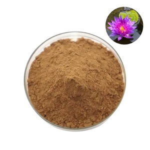 สารสกัดจากดอกบัวหลวงคุณภาพสูงบริสุทธิ์จากธรรมชาติชนิดผง - Product Image 1
