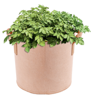 Lot de 10 pots de jardin en tissu non tissé épaissi de 2 gallons pour légumes, tomates, pommes de terre, pots en tissu résistants avec poignées renforcées