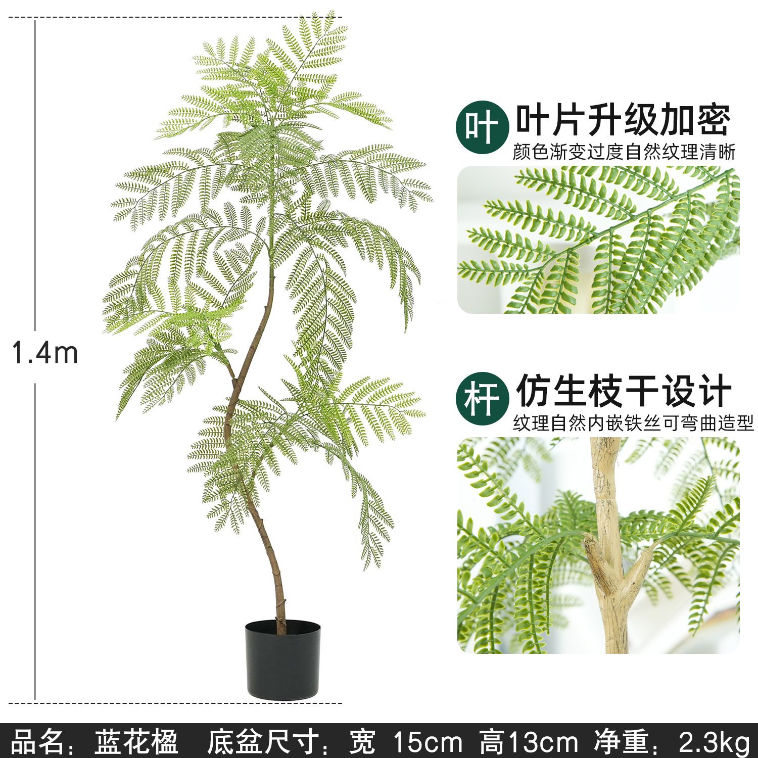 jacaranda 140 cm