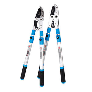 Cisailles télescopiques Shuangsong 20-30 mm en acier allié, manche bleu, outil de jardinage haut de gamme, ciseaux de coupe extensibles - Product Image 1