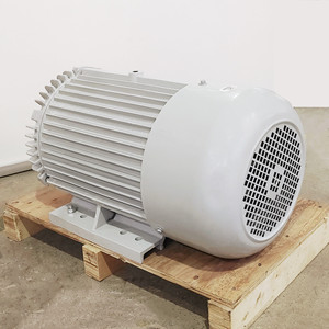 มอเตอร์ไฟฟ้ากระแสสลับ 6 โพล 230-460/796V 1200 รอบต่อนาที 75 แรงม้า 50/60 เฮิรตซ์ มอเตอร์สามเฟส - Product Image 1