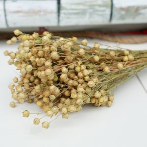 Flores decorativas de fábrica, suministro de floristería, 50g/manojo de frijol de Acacia, semillas de lino secas preservadas, ramo de frutas Jequirity, manojo de Linum - Product Image 4