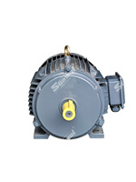 Moteur asynchrone triphasé haute puissance 22 kW 50/60 Hz pour usage industriel 208-240 V/400 V, encastré IP54 IP55 IP67, 1500 tr/min/3000 tr/min