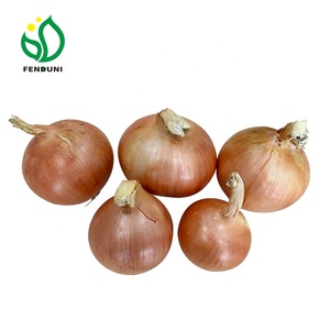 Hạt Giống Hành Tây Trắng Trung Quốc 25Kg Túi Lưới - Product Image 6