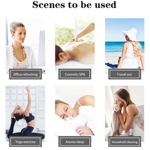 Fabricación OEM, Juego de Aceites Esenciales 100% Puros, Naturales y Orgánicos con Logotipo Privado Personalizado - Product Image 4