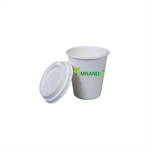 Biodegradable bagasse cup hot cold drink takeway disposable cups