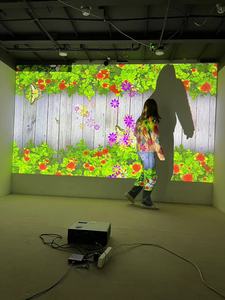 Flow Packing Machine Wall Interactive Game <strong>3D</strong> Holographic <strong>Best</strong> Free Projection Mapping <strong>Software</strong>