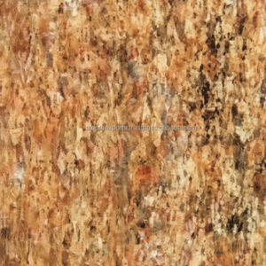 Baldosa de Granito Amarillo Pulido de la India - Diseño Tradicional Duradero y Ecológico para Uso Interior/Exterior en Villas - Product Image 1