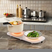 Plateaux chauffants tout-en-un portables, chauffe rapidement, plateau en verre trempé, riz, chauffage électrique, coussin chauffant pour légumes, plaque thermique
