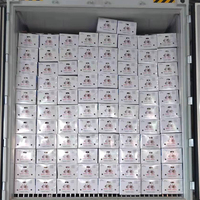 Optimale Verse Knoflook Ajo Chinese Knoflook Export Knoflook Marktprijs 10Kg/Carton