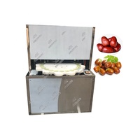 Puistmachine Voor Industrieel Fruit, Piping, Machine Voor Olijfkernputjes