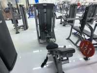 Équipement de fitness commercial avec service OEM, Machine de rotation du torse à charge libre en acier Q235 ROSEN Fitness pour salle de sport