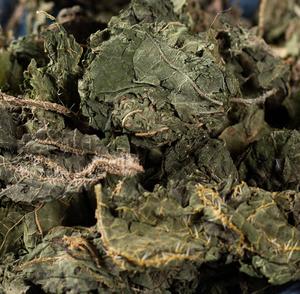 Chất lượng cao tự nhiên Trung Quốc trà khô các loại thảo mộc cây tầm ma lá trong lỏng bán buôn - Product Image 3