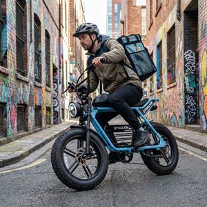 <span class=keywords><strong>Vélo</strong></span> <span class=keywords><strong>électrique</strong></span> rétro 48V avec frein à disque hydraulique, E-bike Scrambler pour la livraison urbaine et les trajets quotidiens - Product Image 5