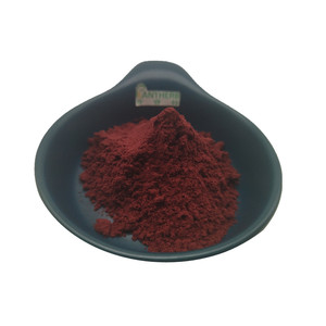 Порошок экстракта черники с 25% натурального антоцианина - Product Image 6