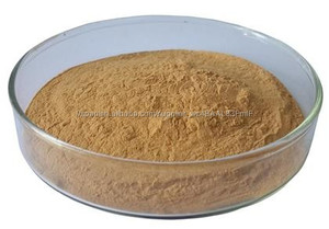 Polvo de <span class=keywords><strong>extracto</strong></span> de té <span class=keywords><strong>verde</strong></span> té polifenoles - Product Image 2