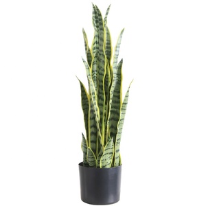 <span class=keywords><strong>Planta</strong></span> de Serpiente Artificial de 80 cm, Realista, Resistente a los Rayos UV, Ecológica, Duradera, con Tacto Natural, <span class=keywords><strong>Planta</strong></span> Moderna en Maceta de Plástico para el Hogar - Product Image 6