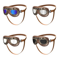 Lunettes de protection Ivy pour animaux de compagnie, lunettes de soleil coupe-vent pour chiens de taille moyenne/grande, utilisation en extérieur, lentilles en PC, monture en TPU, toutes saisons