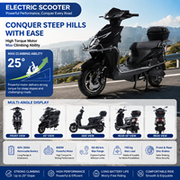 Nouveauté : Vélo Électrique Urbain OEM de Fabrication Chinoise 48V 1000W, Scooter Électronique Numérique à 3 Vitesses