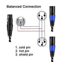 Fabricant OEM Haut de Gamme Xlr 3Pin Mâle Jack Plug Stéréo Femelle à 2 Mini Mâle Xlr Microphone Hifi Son Audio Instrument Câble