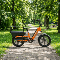 Vélo Électrique Familial Tern Style pour 2 Enfants, Transport 750W 48V, Frein Hydraulique, Longue Autonomie, Commande en Gros Mondiale Personnalisable