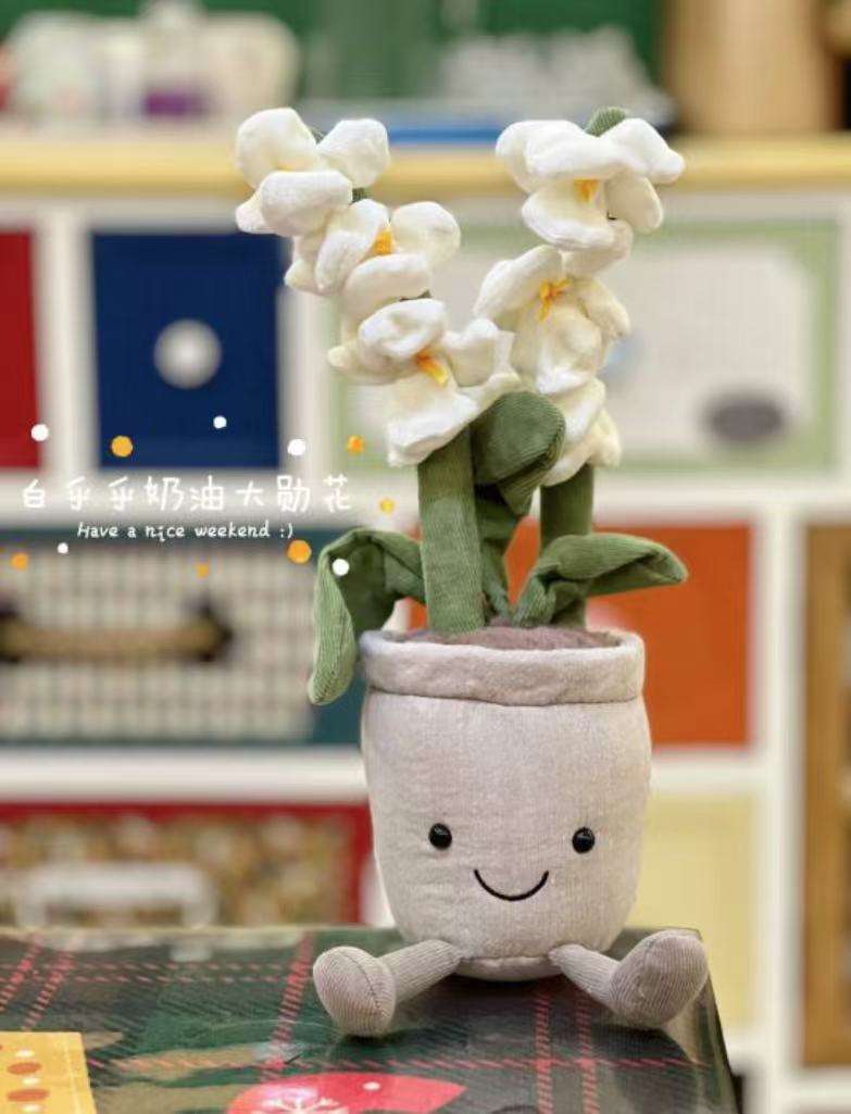 Plante en pot orchidée blanche - sac bleu 3b offert