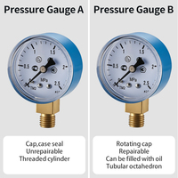 Radial Mount Bourdon Tube Pressure Gauge Electroplated Steel Case Brass Connection 2.5% Accuracy for Industrial Air Compressor