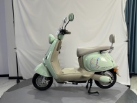 Trottinette électrique adulte en promotion, vitesse maximale 55 km/h, cadre en acier carbone, écran LCD, batterie lithium étanche, prise en charge OEM ODM