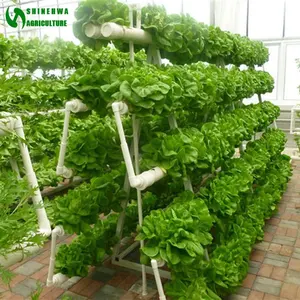 Agricultural Greenhouse Hydroponics Growing Systems Vertical Tripod Structure NFT Round PVC Pipe Hydroponics
