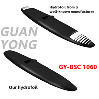 BSC1060 carbone aile feuille mât Efoil eau planche de surf planche de surf vague sup pagaie pompe à Jet Hm aile pompage cerf-volant hydroptère