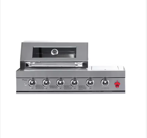 Factory OEM 6 Burners Grill With Adjustable Temperature, Wholesale <strong>Dual</strong> <strong>Fuel</strong> <strong>BBQ</strong> Set , Portable for Camping/Garden <strong>BBQ</strong> - Product Image 3