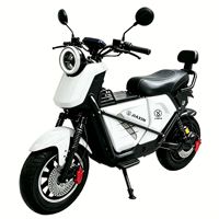 Bicicleta Eléctrica Estilo Motocicleta Popular, Actualizada, de Largo Alcance, con Dos Ruedas, Batería de Plomo-Ácido, Motor de Cubo Trasero de 1500W