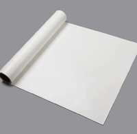 Film en fluorocarbone résistant aux intempéries, durée de vie de 20 ans, pour tous types de toits, membrane d'étanchéité autocollante en butyl, rouleau